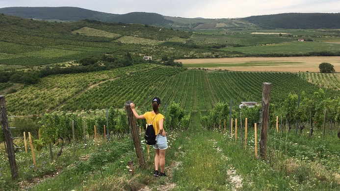 Aniko in vineyard - resize